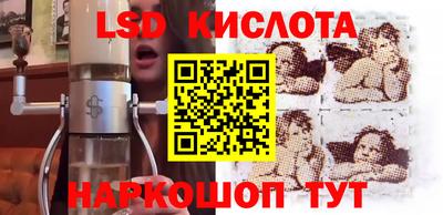 мяу мяу мука Кандалакша